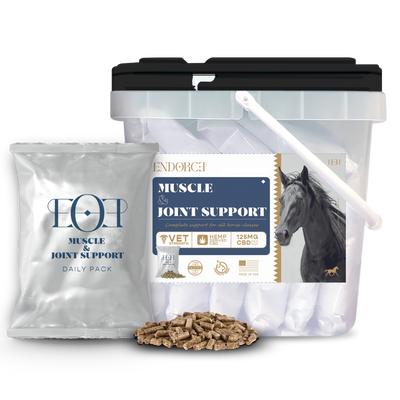 HORSE MUSCLE AND JOINT SUPPORT WITH CBD